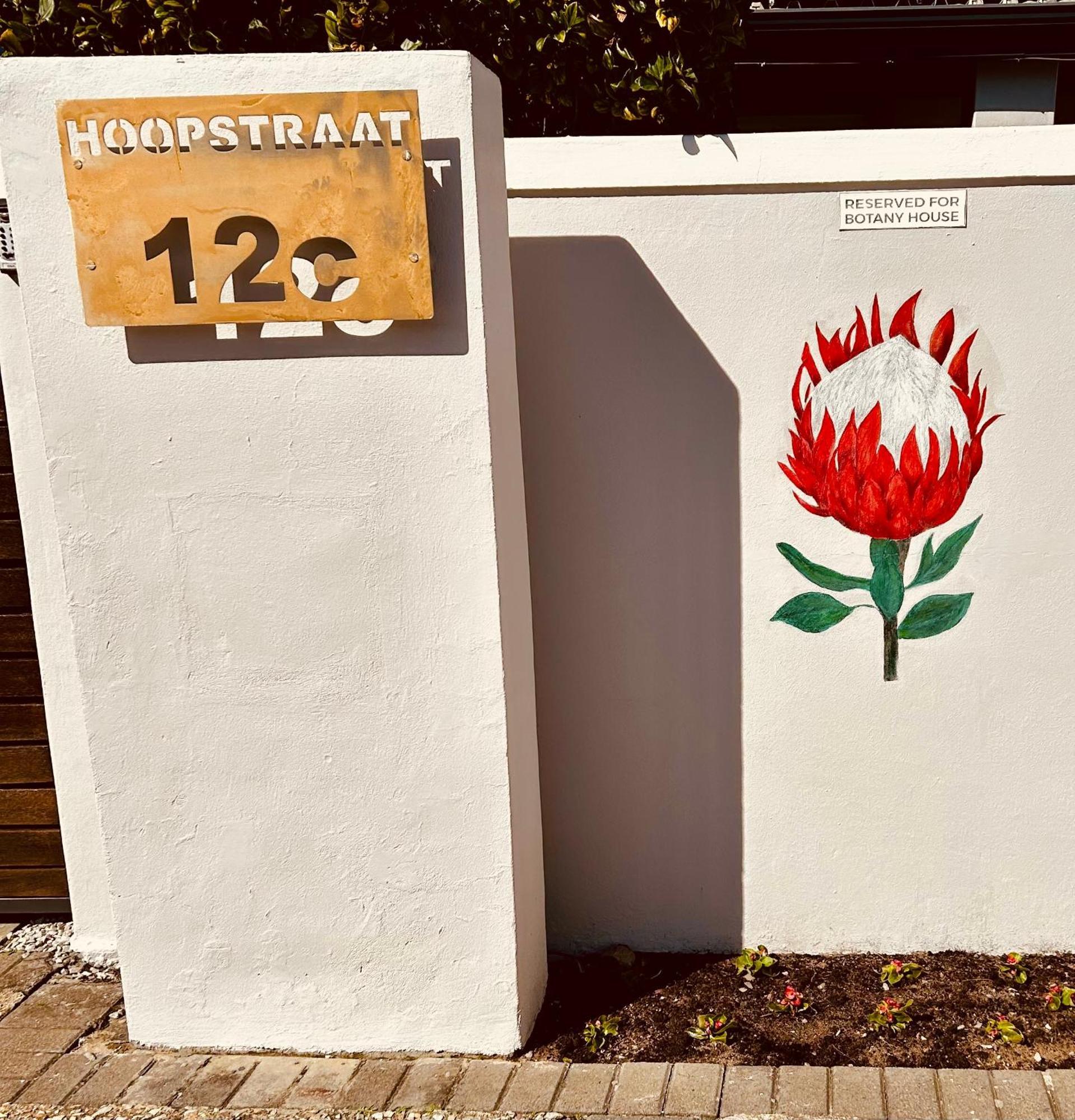 Villa Botany House, In The Heart Of Hermanus Extérieur photo